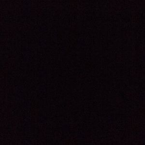 Meet your Posher, Ava